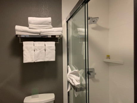 Welcome To Holiday Inn Express & Suites Santa Clara - Accessible Bathroom